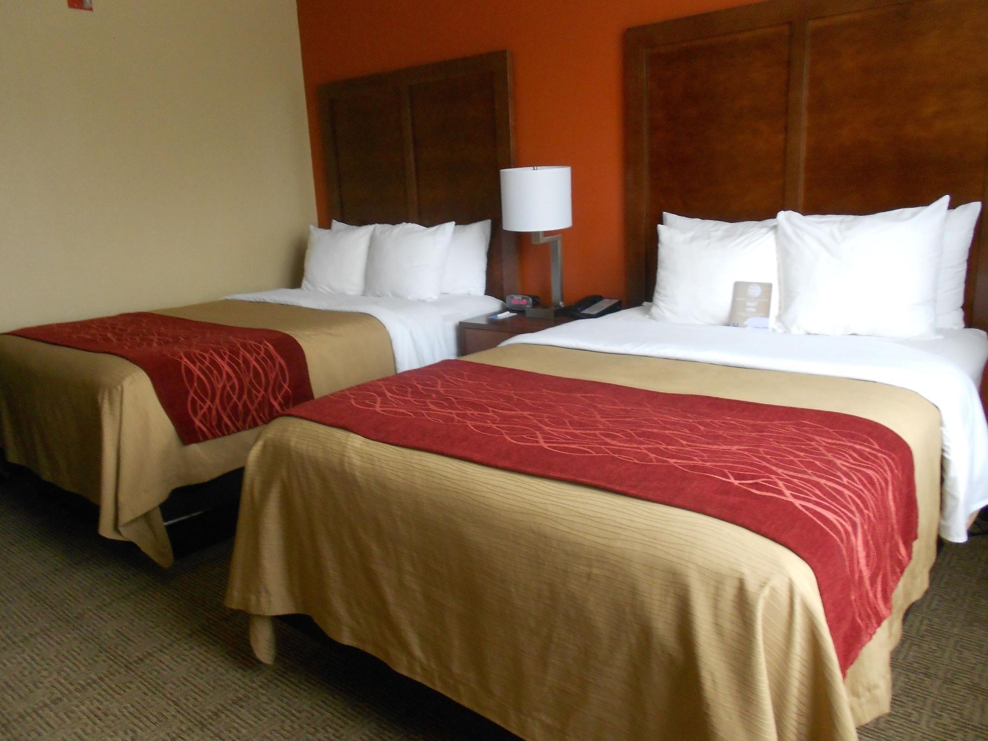 Comfort Inn & Suites Lakeland North I-4 Bagian luar foto