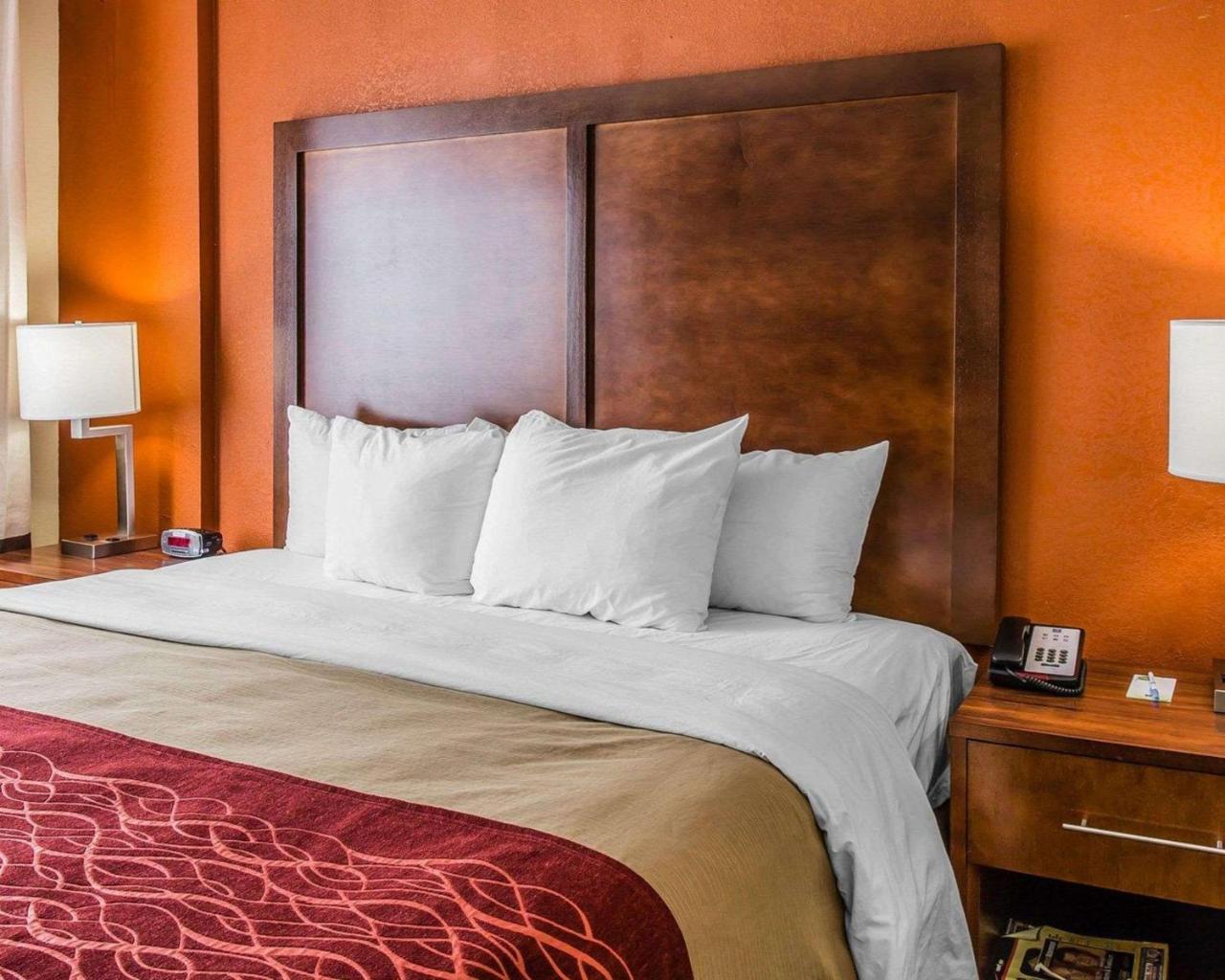Comfort Inn & Suites Lakeland North I-4 Bagian luar foto